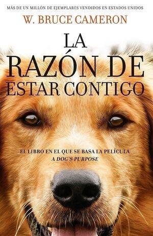 Libro 12